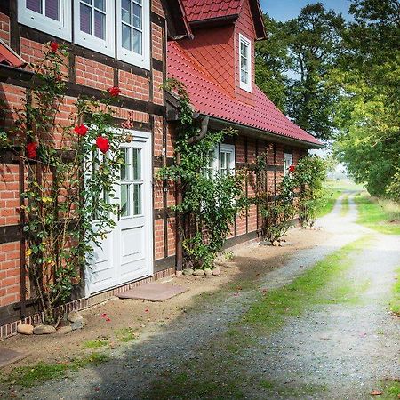 Landhaus Elbeflair Apartment Bei Doemitz Lenzerwische Kültér fotó