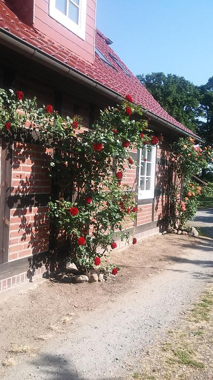 Landhaus Elbeflair Apartment Bei Doemitz Lenzerwische Kültér fotó
